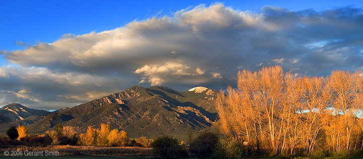 Taos mountain and cottonwoods from the Rio Lucero