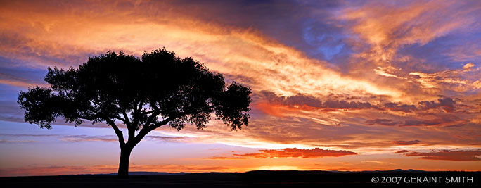 At the lonetree again ... this sunset was mind blowing ...of 'biblical' proportions ... It also seemed to linger for ages