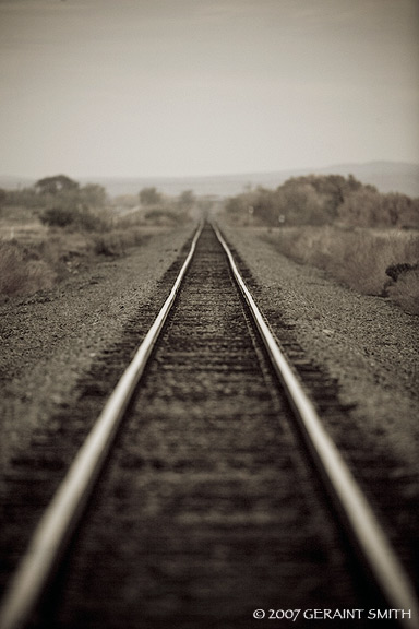 'Rail Road' in the Bosque del Apache, Socorro, New Mexico