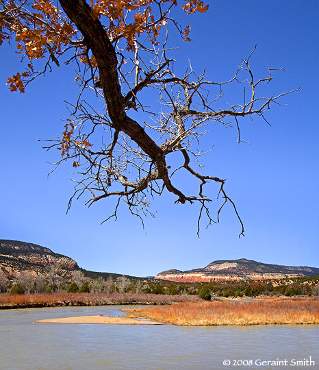 Some remnants of fall on a spring dayalong the Rio Chama near Abiquiu, NM