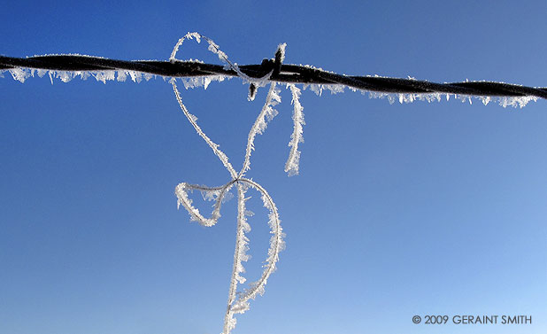 Horse hair on a cold and frosty morning in Taos