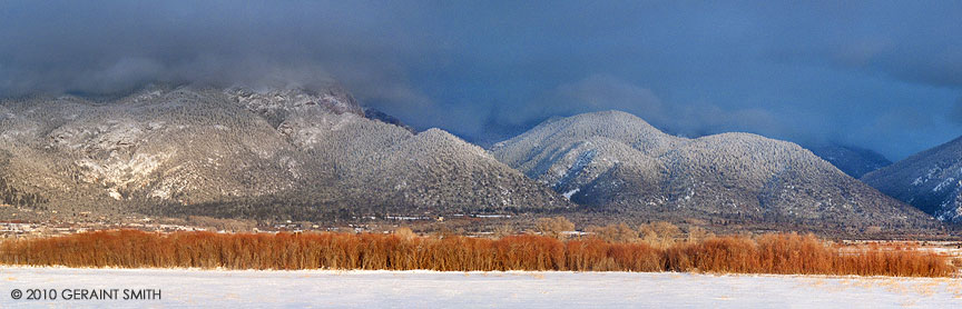 Red willow evening! in Taos NM
