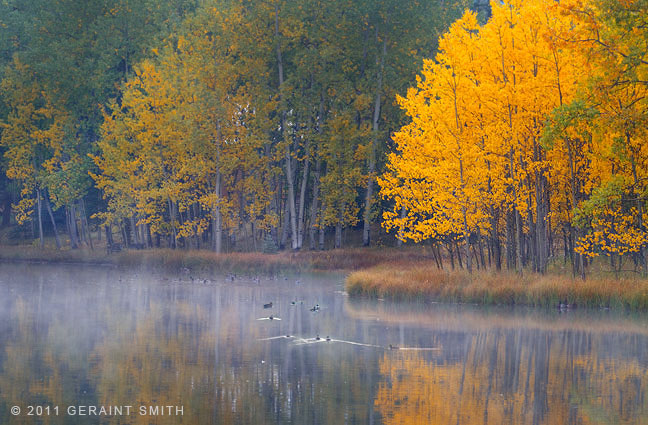 Fall morning on the pond
