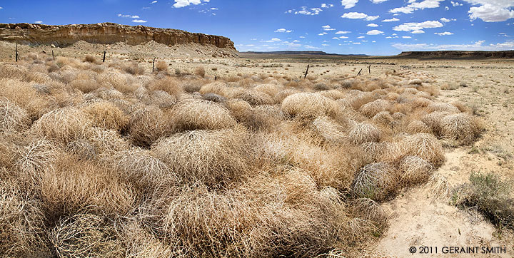 Tumbleweed deposits, Arizona