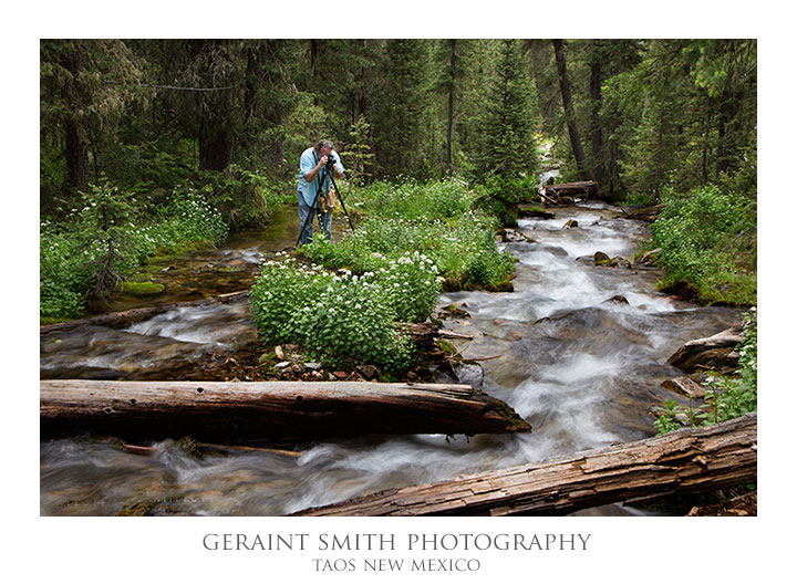 Photographing wildflowers and water on the Williams Lake trail in Taos Ski Valley