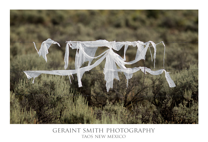 Fence ghosts ... guardians of Taos County
