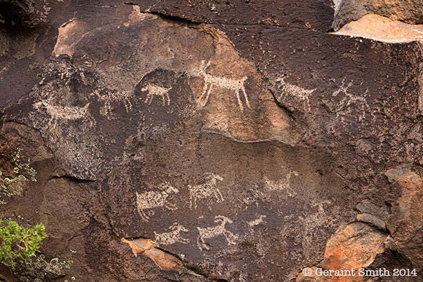 Bighorn sheep and Deer petroglyphs in the Rio Grande del Norte National Monument