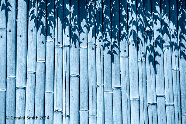 Blue Bamboo #2