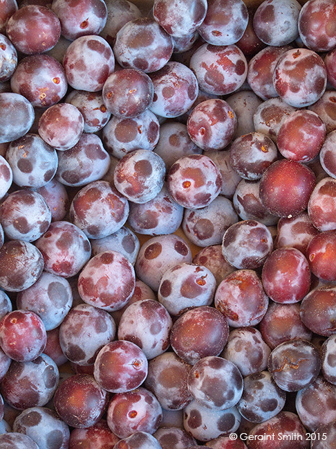 Plums at the Taos Farmers Market new mexico