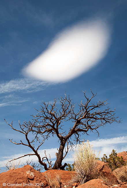 "Come play with me" said the cloud to the tree ... a composition in Abiquiu, NM