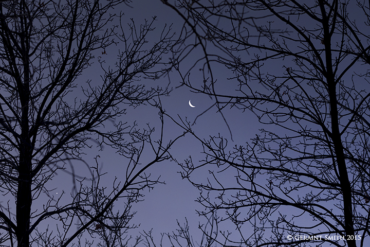 Crescent Moon and Venus through the trees at dawn this morning