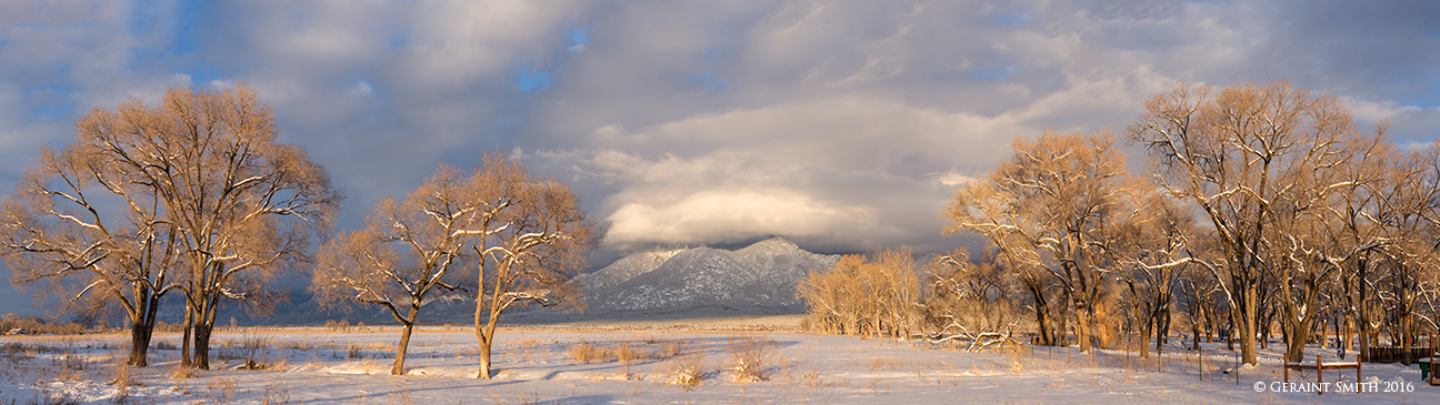 That view "kissing trees" in El Prado, New Mexico taos nm winter trees snows
