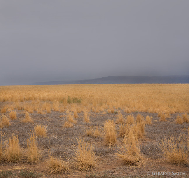 Summer fields and mountain rain northern New Mexico state line colorado