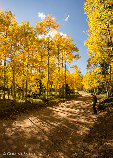 Making some images of the early fall color in Garcia Park, northern New Mexico