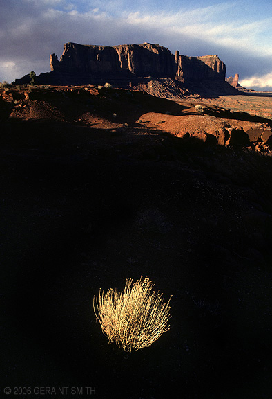 Sage brush and mesa, Monument Valley Navajo Tribal Park, Arizona 