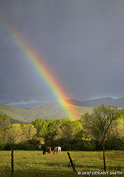 2007 August 18: Rainbow Fields, Taos Pueblo