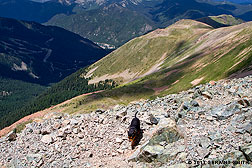 2011 August 08, The chihuahua hikes Wheeler Peak