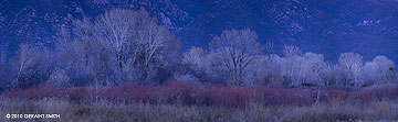 2010 December 29, Twilight in Taos