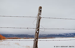 2011 December 04, Fenced in