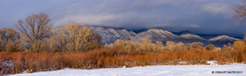 2015 December 20: Keeping it natural, the subtle winter colors of Taos Mountain, red willows and cottonwoods