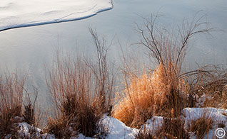 2014 January 10  Winter on the Rio Grande in Pilar, NM