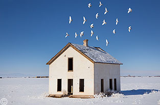 2014 January 04  Winter bird house!