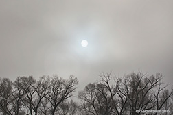 2015 January 21  Morning fog, Arroyo Hondo, NM