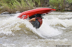 2008 July 31, More kayaking on the Rio Grande