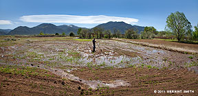 My friend Floyd Archuleta irrigating his oats and alfalfa field