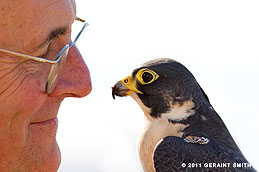 2011 June 02,  My friend Tony Huston and his Peregrine falcon