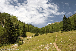 2012 June 08, Gavilan trail, Taos
