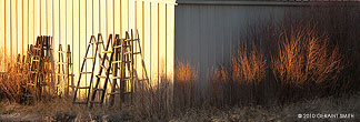 Willows, ladders and steel