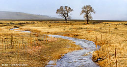 2011 November 21, The American Creek, Moreno Valley, NM