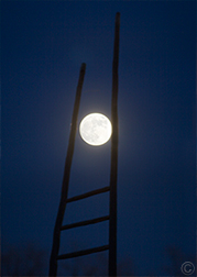 2012 November 30 Moon ladder!