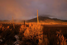 Mesa and mountain light, last night's sunset in Taos