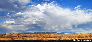 2009 October 14, Fall in the Bosque del Apache, Socorro, NM
