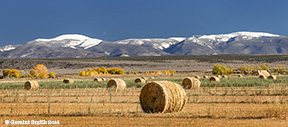 2014 October 15 Hay bales ... on the road in Colorado and a beautiful day for a photo tour southern colorado sangre de christos snow capped peaks