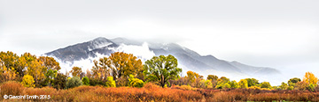 2015 October 22: Fall in Taos ... first snow, cottonwoods and red willows, Taos Mountain ... a day to awaken the senses!