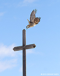 2010 September 27, Cross Hawk