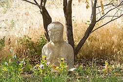 2012 September 06, Garden buddha