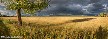 2014 September 12  Shooting the meadow and the mountain summer monsoons rains taos firlds of grass photographer