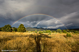 2015 September 09: Rainbow over our meadow and shadow of the cottonwood tree in San Cristobal, NM