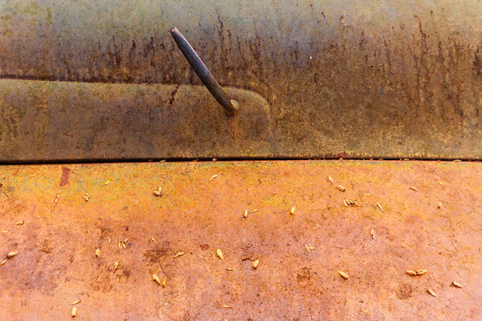 Colors of Rust