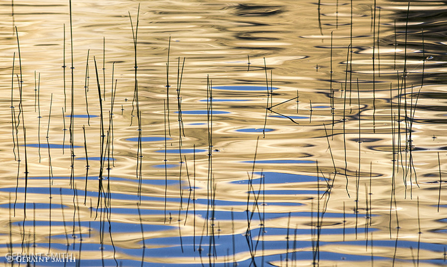 Lake Reflections