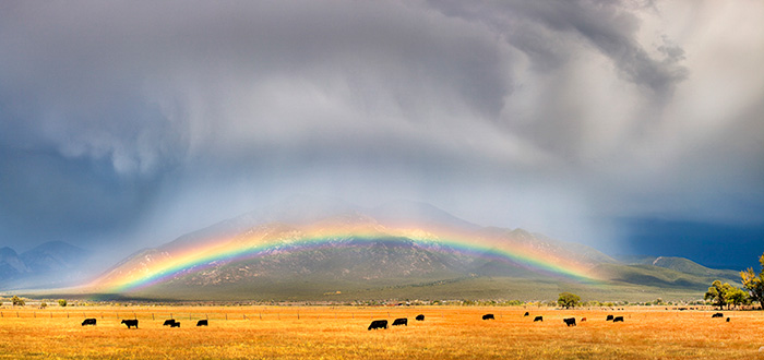 El Prado Rainbow