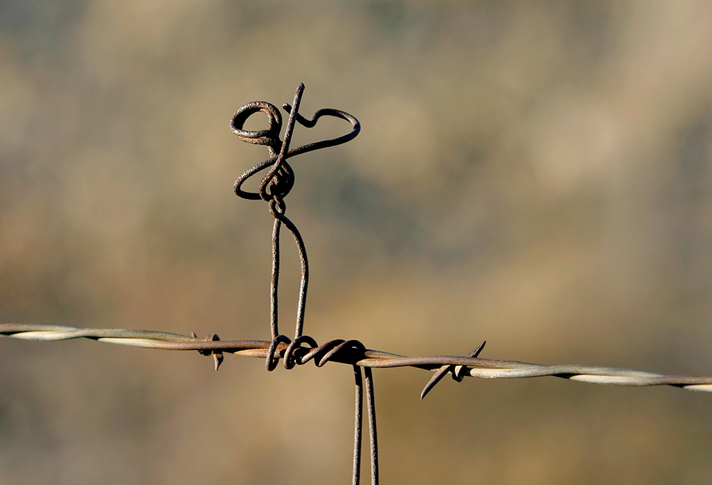 Fence Fiddler