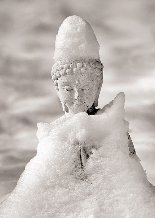 Quan Yin Winter