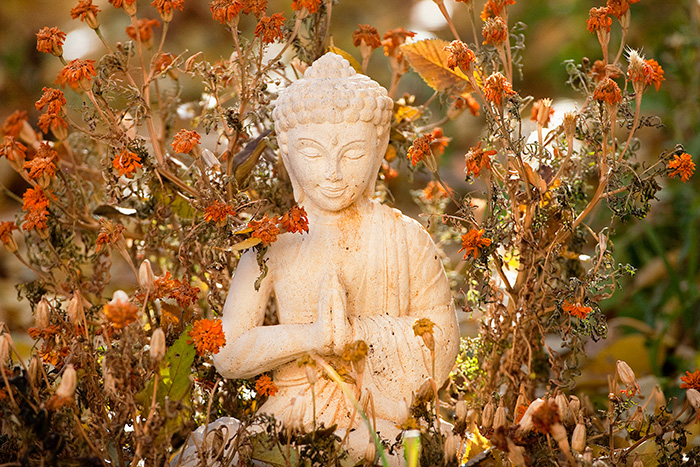 Quan Yin Summer Marigolds