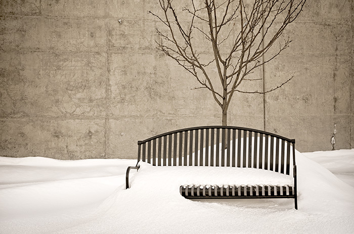 Winter Bench