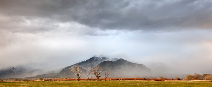 Taos Mountain Mists